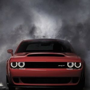 Meet your Posher, Freddie